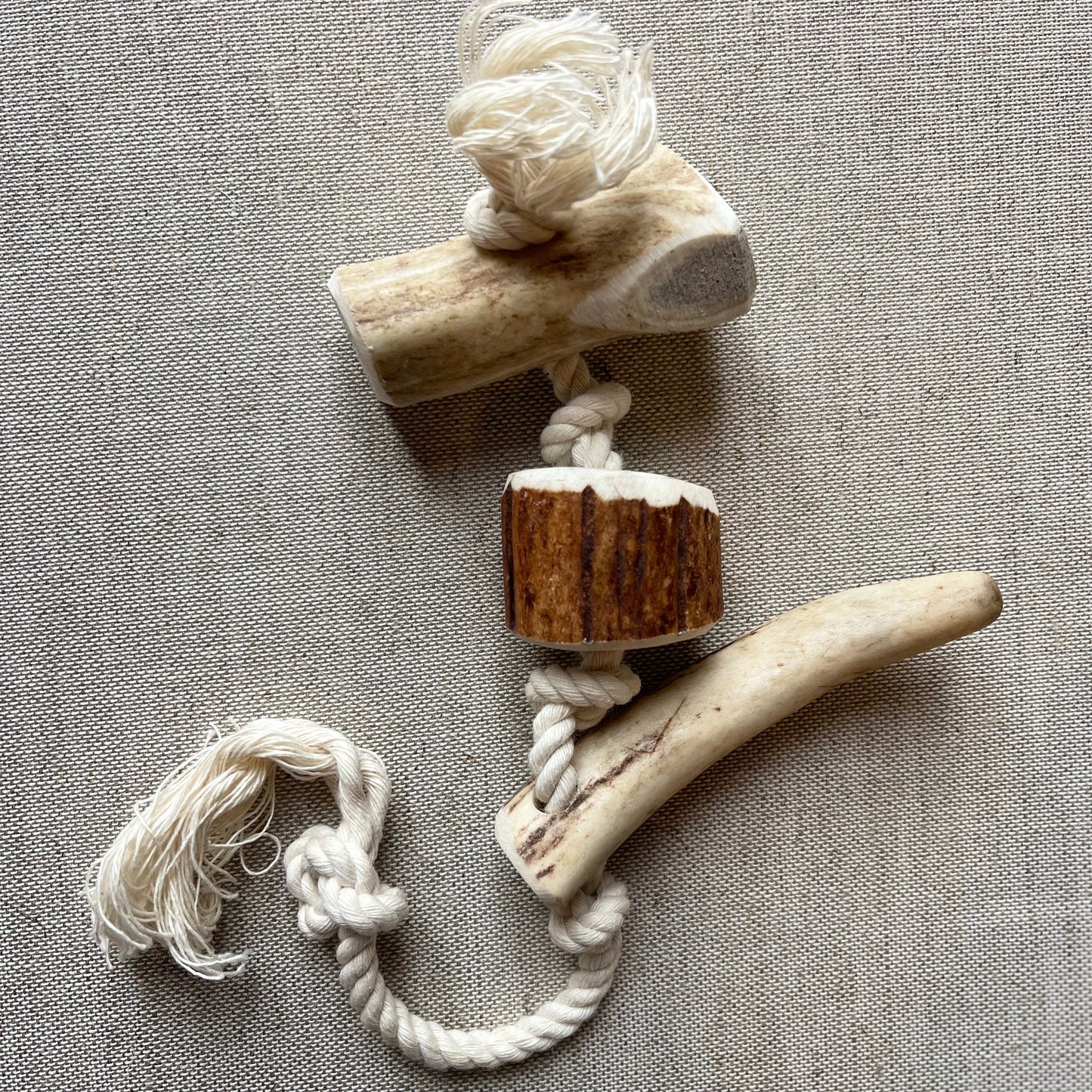 Jouet corde bio avec bois de cerf