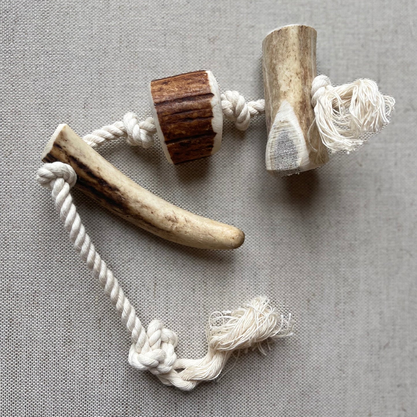 Jouet corde bio avec bois de cerf